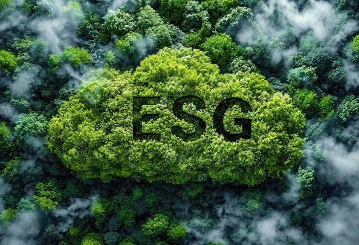 Greenwashing Scrutiny Is Intensifying — And Africa Is Not Immune