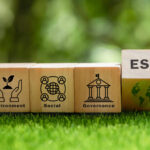 Nigeria Is Moving Beyond ESG Rhetoric — Here’s What That Means for Corporate Leaders