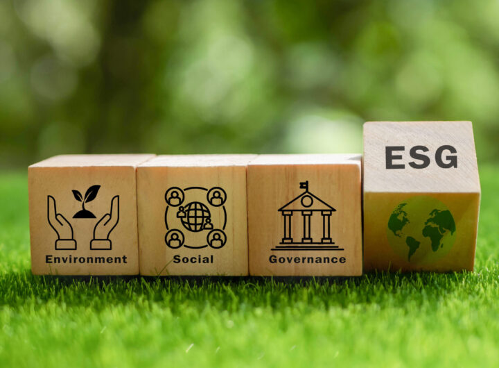 Nigeria Is Moving Beyond ESG Rhetoric — Here’s What That Means for Corporate Leaders