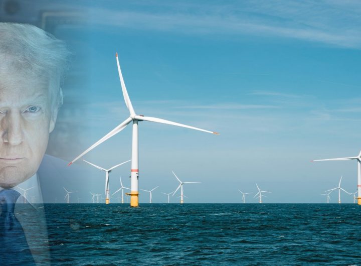 Donald Trump, totalenergies and an offshore wind turbine farm