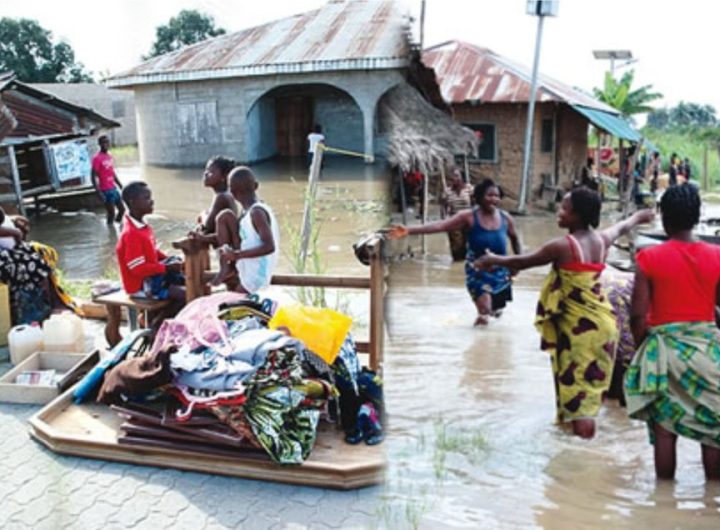 20 Most Consistent Climate Change Advocates in Nigeria and How Their Work is Reshaping the Future