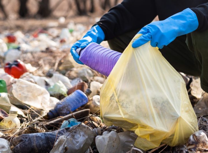 Sorting Trash for Recycling