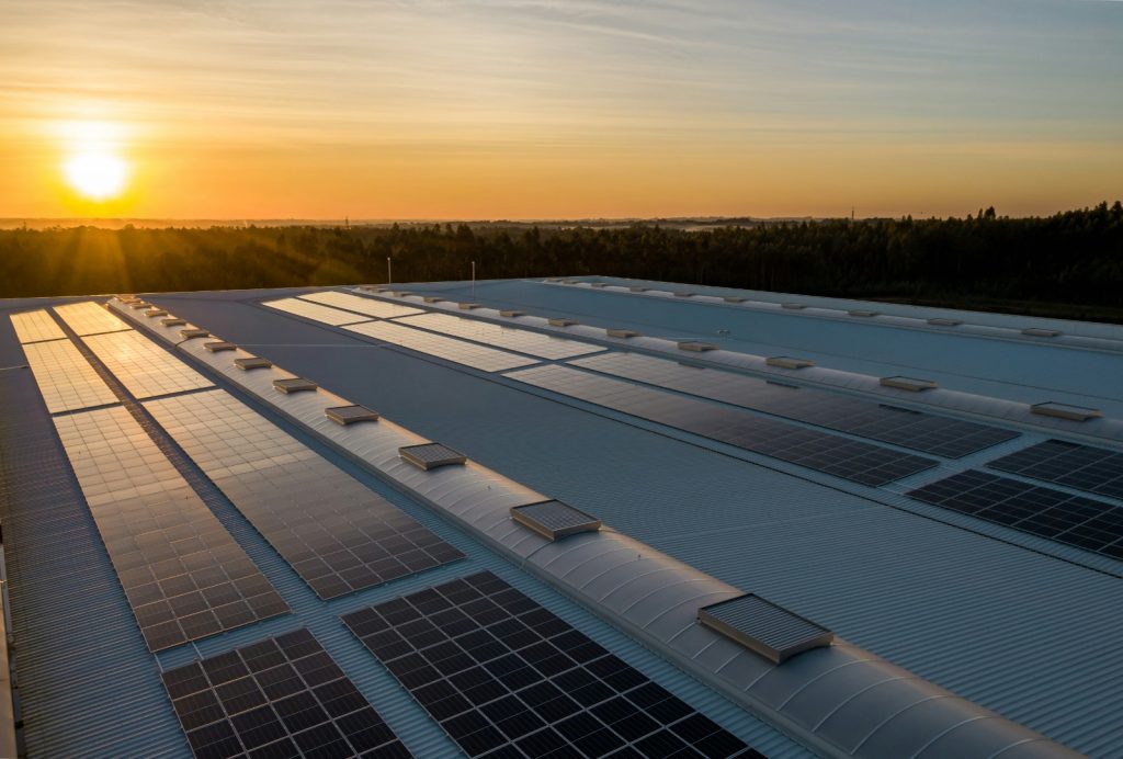 Solar Panels in the rising sun