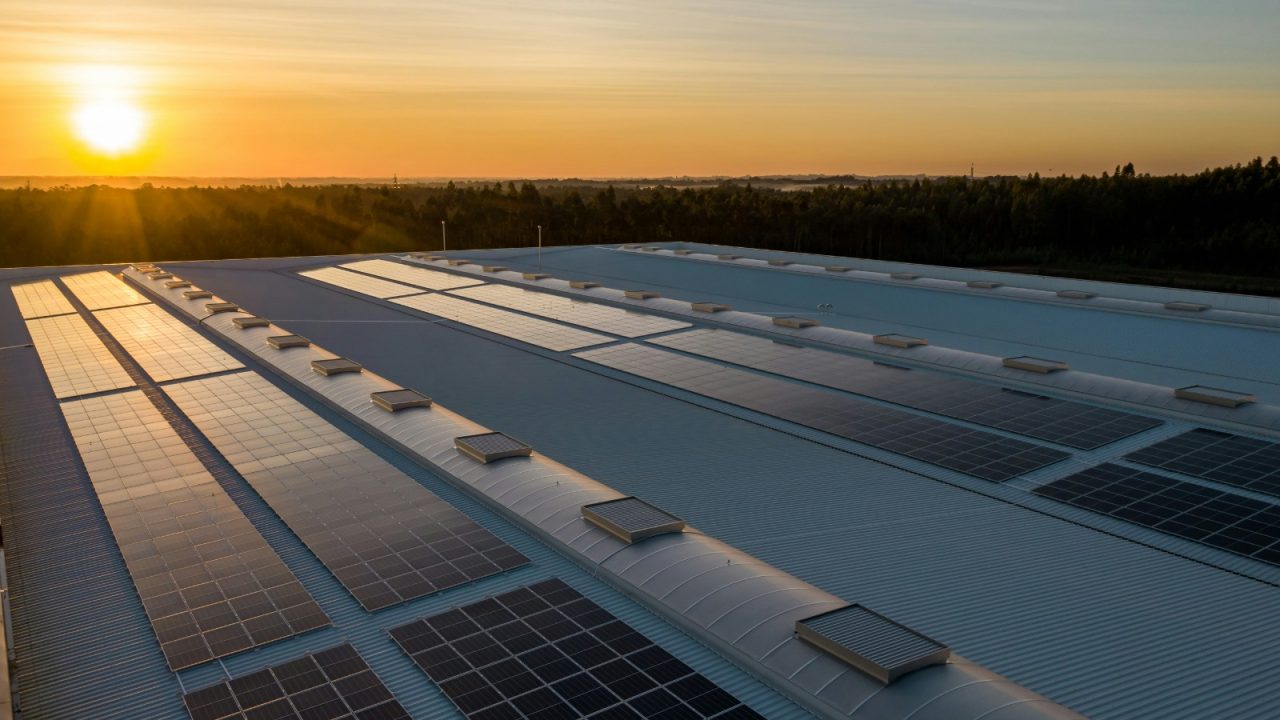 Solar Panels in the rising sun