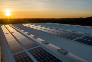 Solar Panels in the rising sun