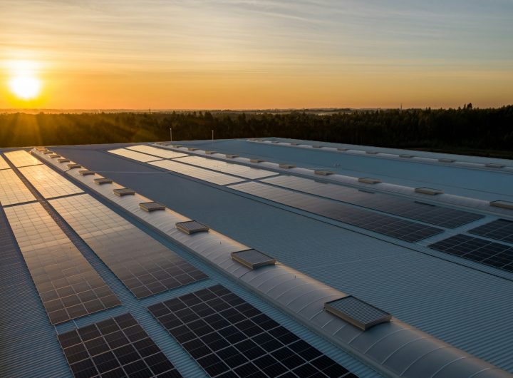 Solar Panels in the rising sun