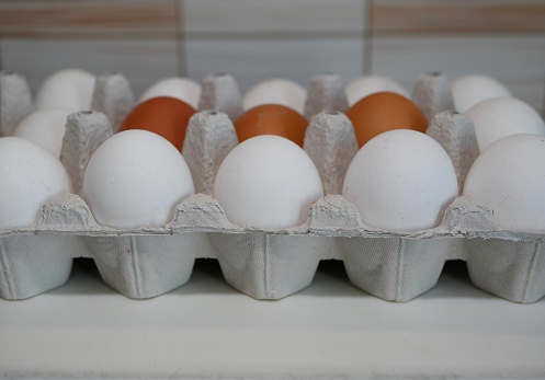 Beyond the Shell: What Sainsbury's White Egg Switch Reveals About Africa's Agribusiness ESG Gap