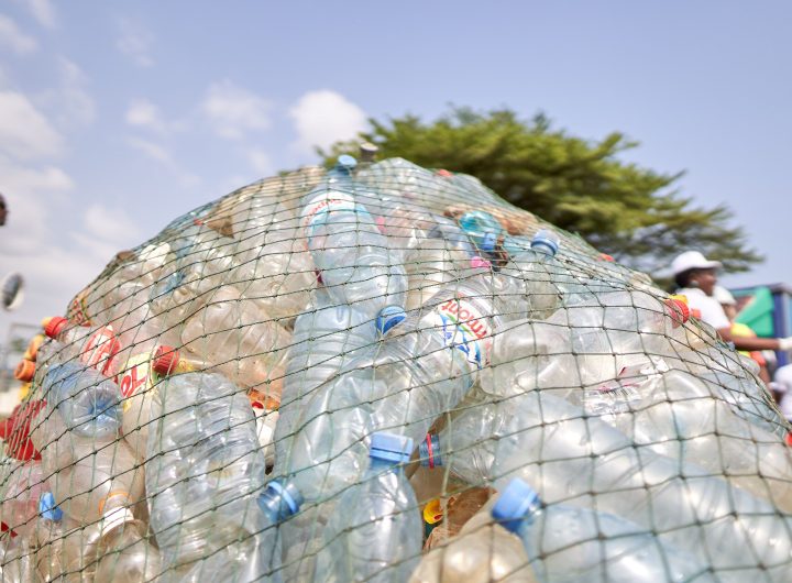 Single use plastics gathered up