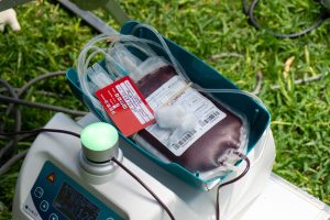 Donated Blood
