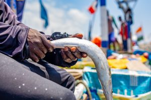 Person holding fish