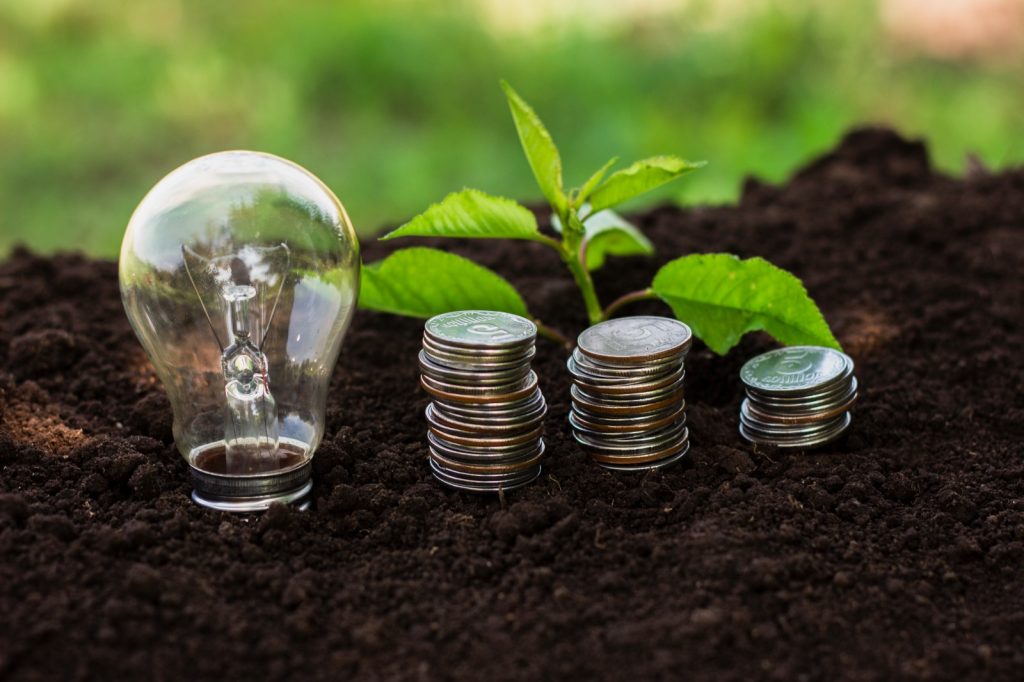 Soil, plant and coins