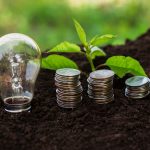 Soil, plant and coins