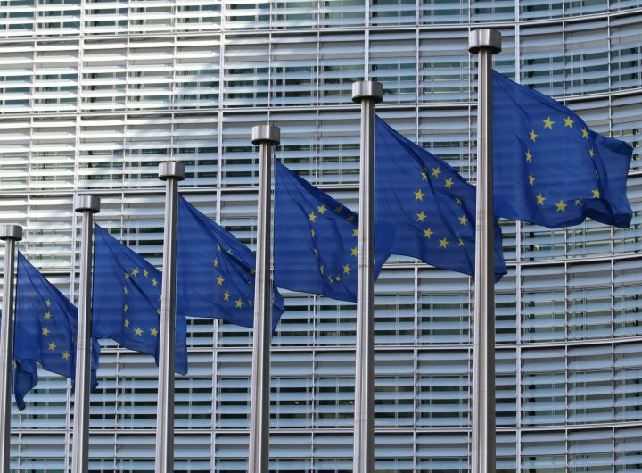 European Commission Flags