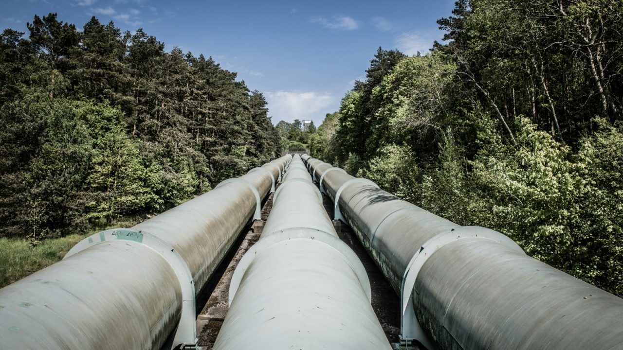 Gas Pipeline passing through forest