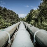 Gas Pipeline passing through forest