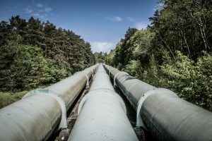Gas Pipeline passing through forest