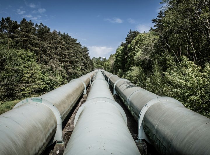 Gas Pipeline passing through forest