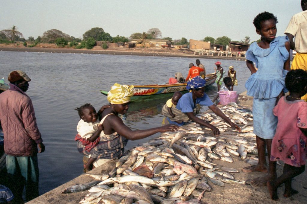 women selling fish in Senegal