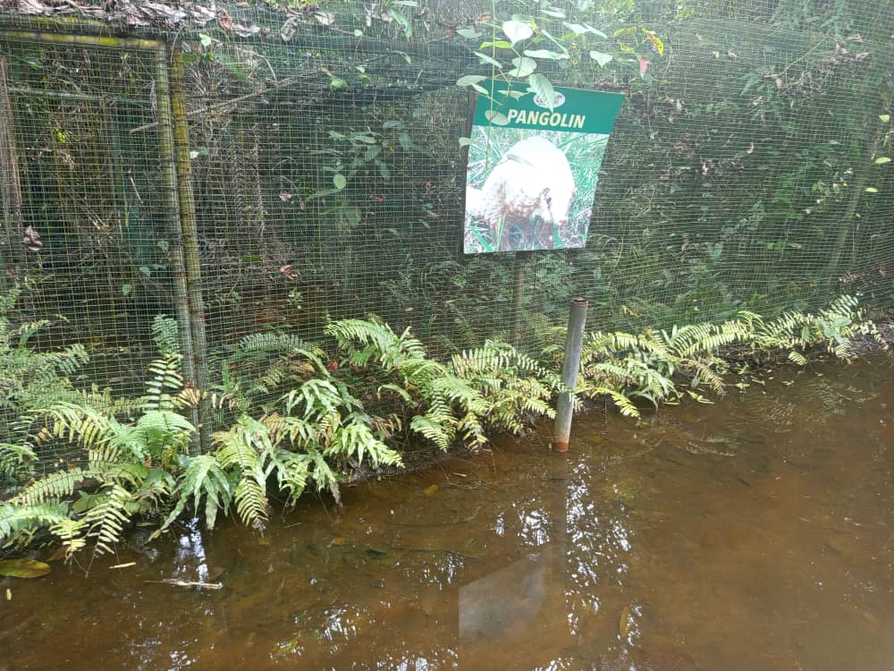 LUFASI Park Has Been Effective As a Biodiversity Protection Area, Says Majekodunmi