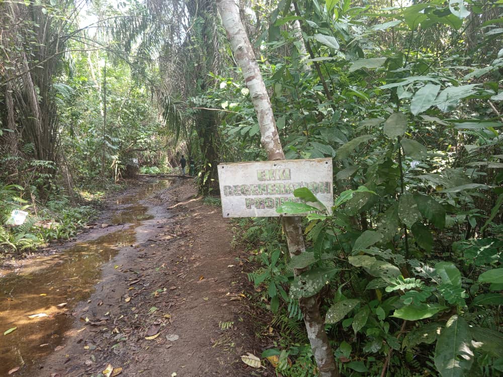 LUFASI Park Has Been Effective As a Biodiversity Protection Area, Says Majekodunmi