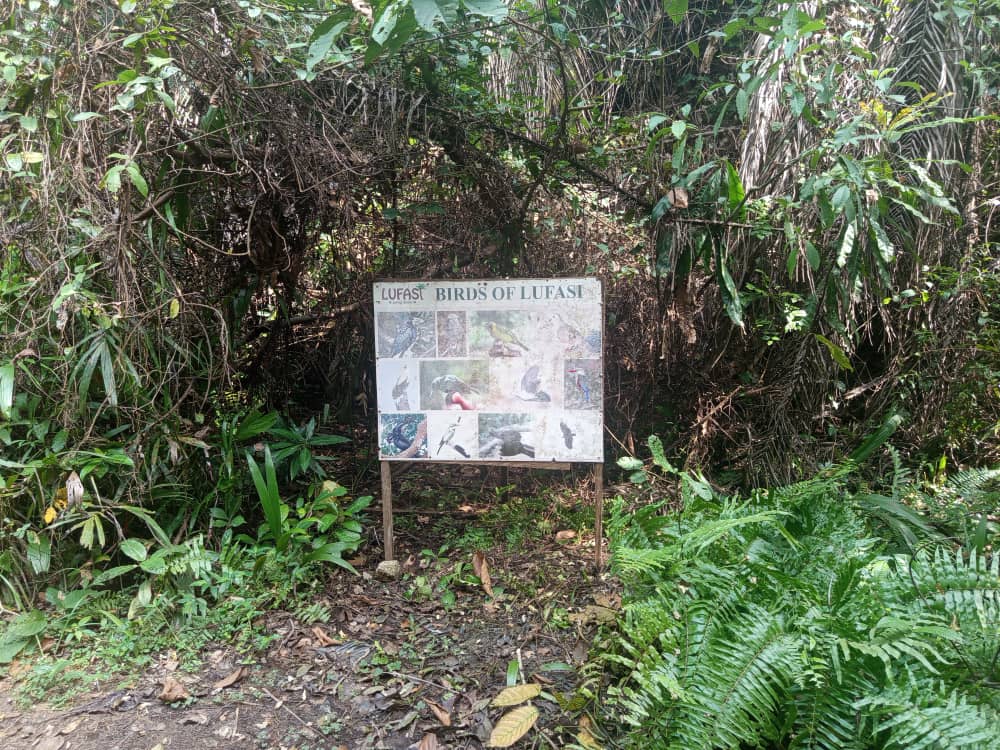LUFASI Park Has Been Effective As a Biodiversity Protection Area, Says Majekodunmi