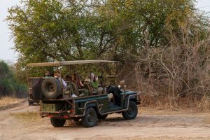 African tourism can support sustainability