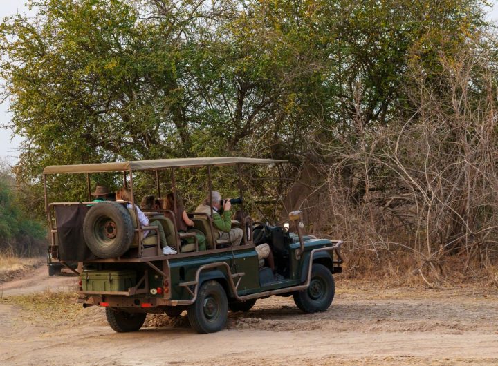 African tourism can support sustainability