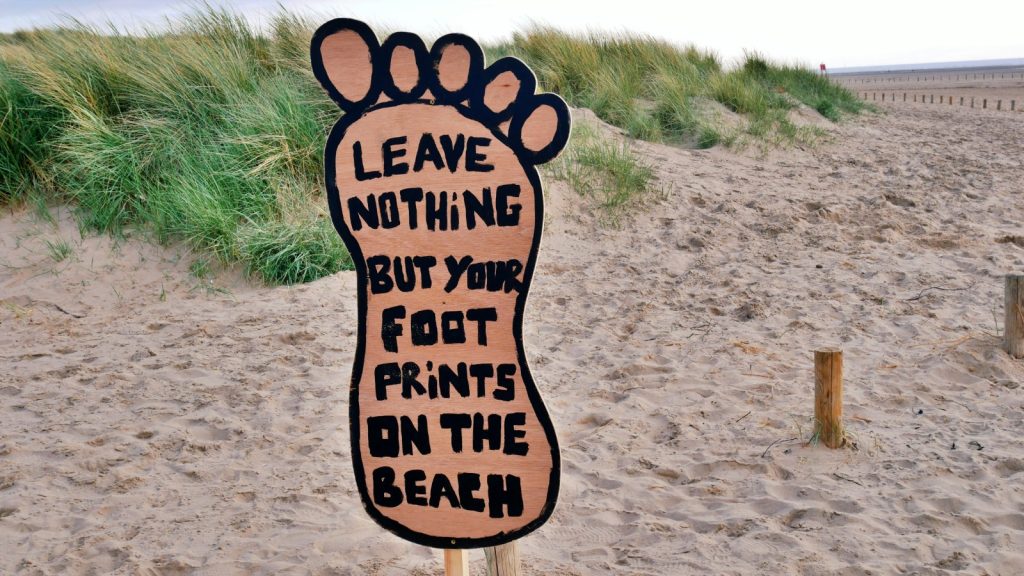 Volunteers clean beaches