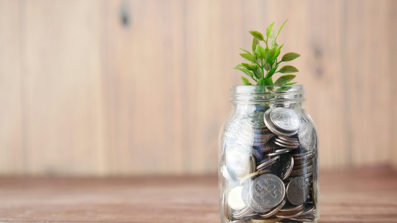 Green Economy bottle with coins and a plant growing out of it.