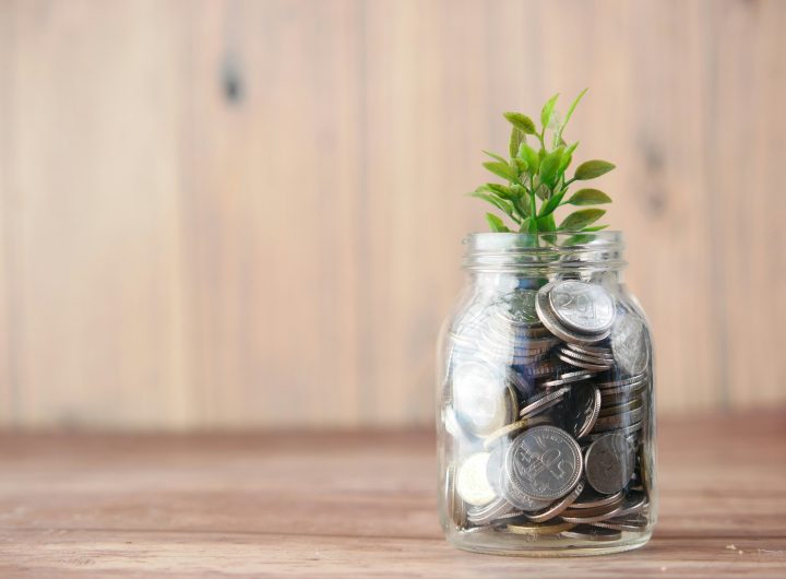Green Economy bottle with coins and a plant growing out of it.