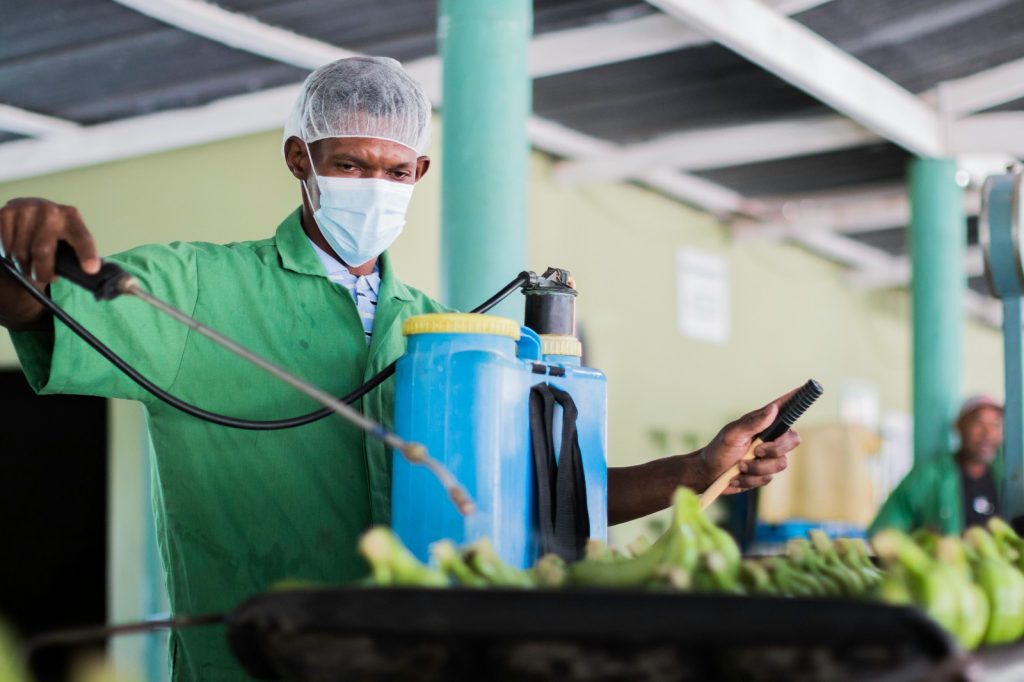 Kenya spraying of pesticides on crops