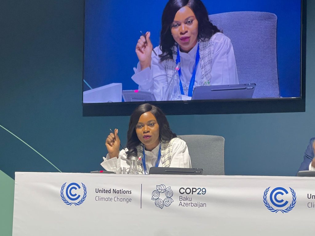 Nanan discussing ESG and climate change at the UN