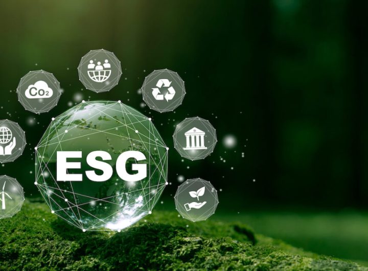 RANKED: Nigeria’s Boldest ESG Disclosures