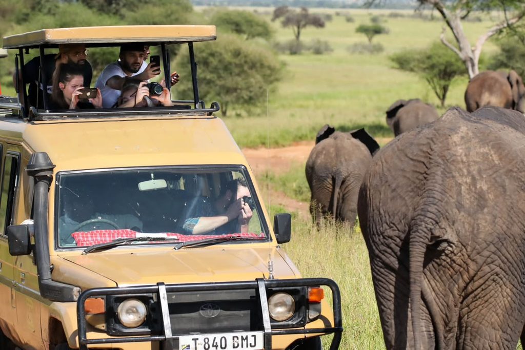 Tanzania tourism on elephants