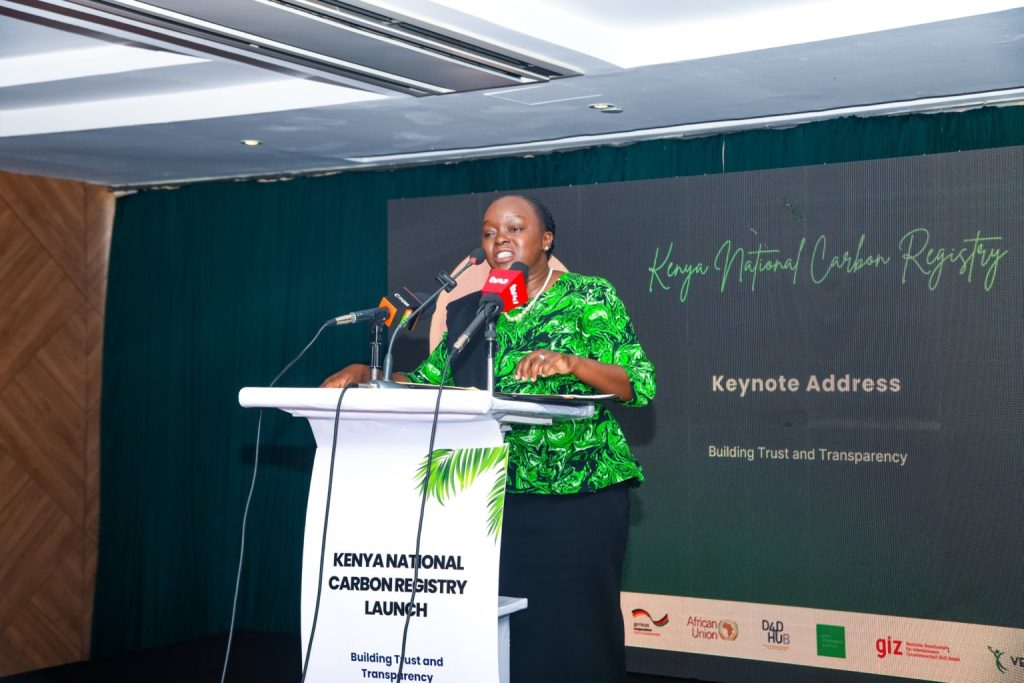 Two Kenyas: The Carbon Registry and the Hunger Line