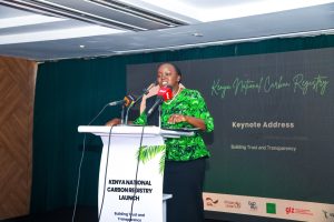 Two Kenyas: The Carbon Registry and the Hunger Line