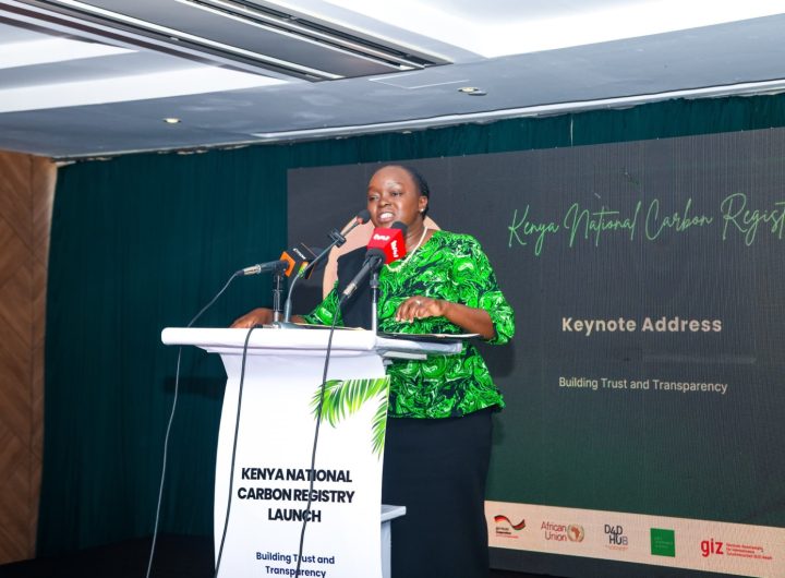 Two Kenyas: The Carbon Registry and the Hunger Line