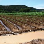 irrigation-farming-750x536-1