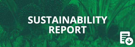 8% READY. 92% EXPOSED. The Data Behind Africa's Sustainability Reporting Crisis