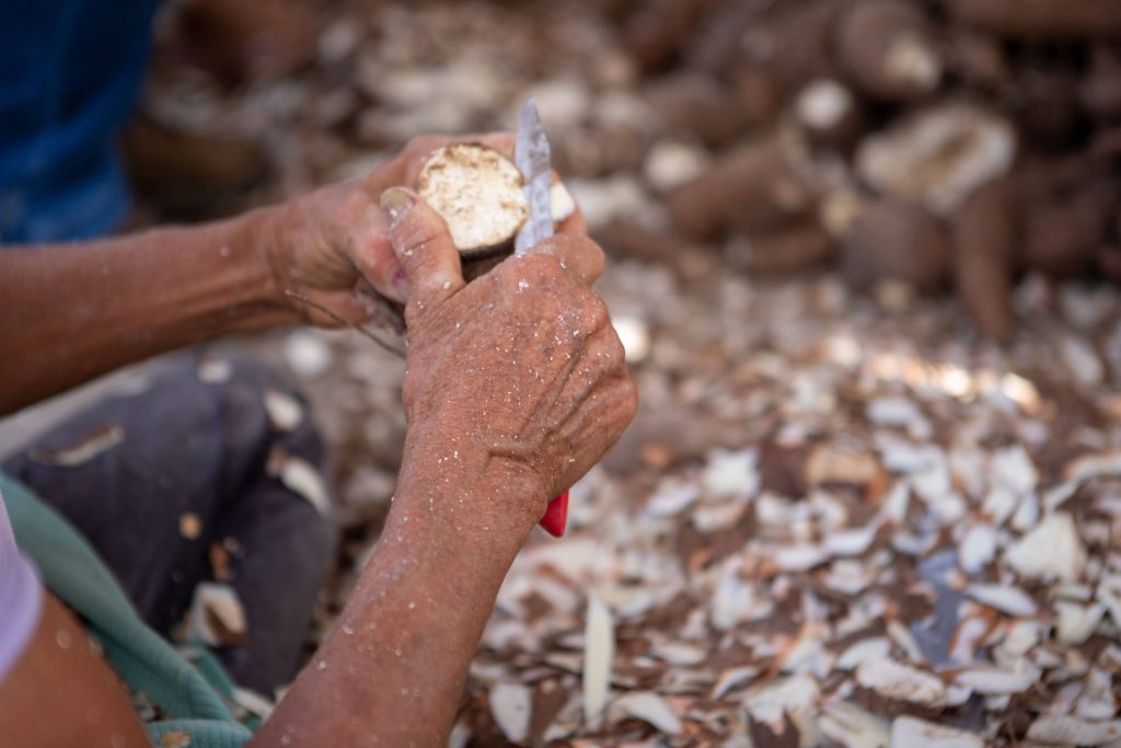 Cassava Waste