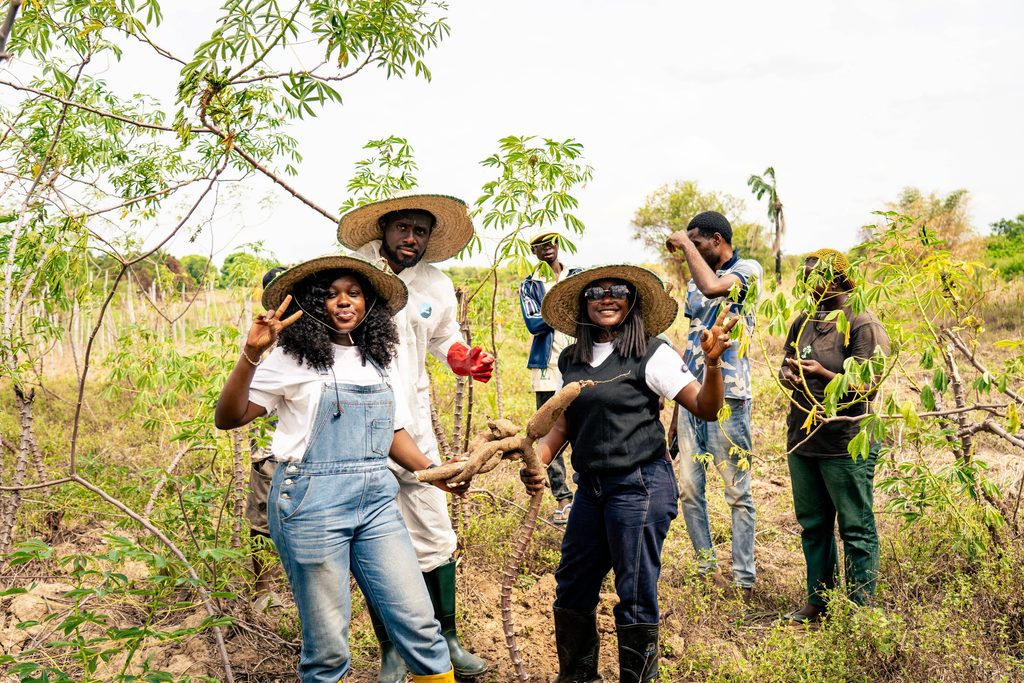 Cassava farmers