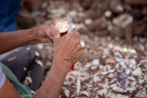Cassava Waste