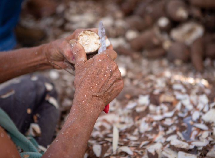 Cassava Waste
