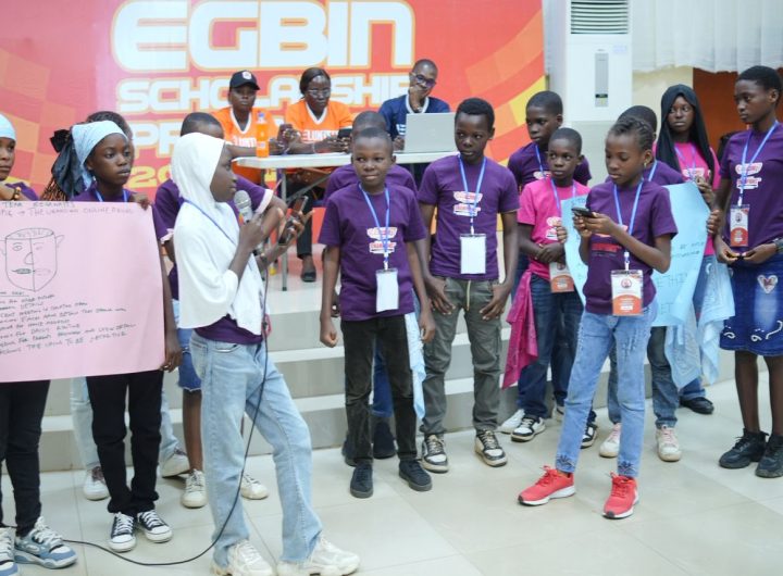 Egbin Power Scholarship
