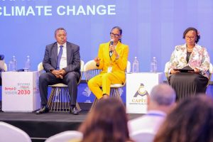 Africa Capital Week: Agama, Efosa-Austin Push Capital Mobilisation, Energy Financing for Economic Growth
