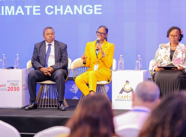 Africa Capital Week: Agama, Efosa-Austin Push Capital Mobilisation, Energy Financing for Economic Growth