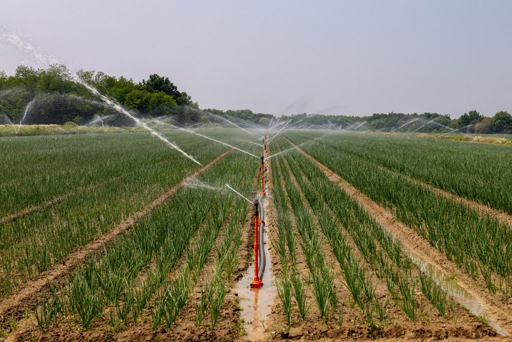 Farming using irrigation