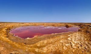 Kenya lake magadi