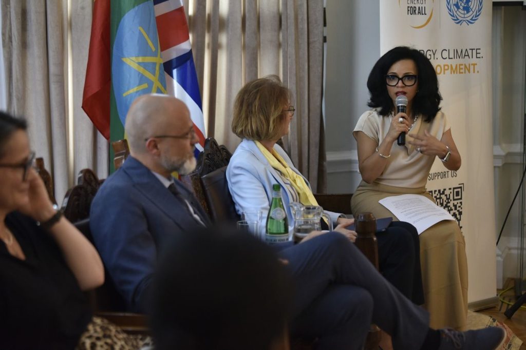 Tariye Gbadegesin at climate round table organised by SEforAll