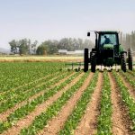 agriculture-sector